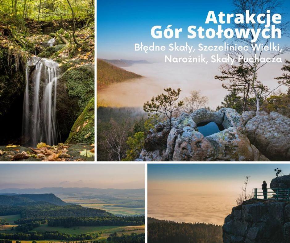 Domek Skowronek Щитна Экстерьер фото