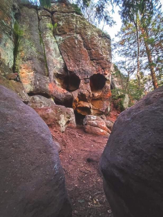 Domek Skowronek Щитна Экстерьер фото